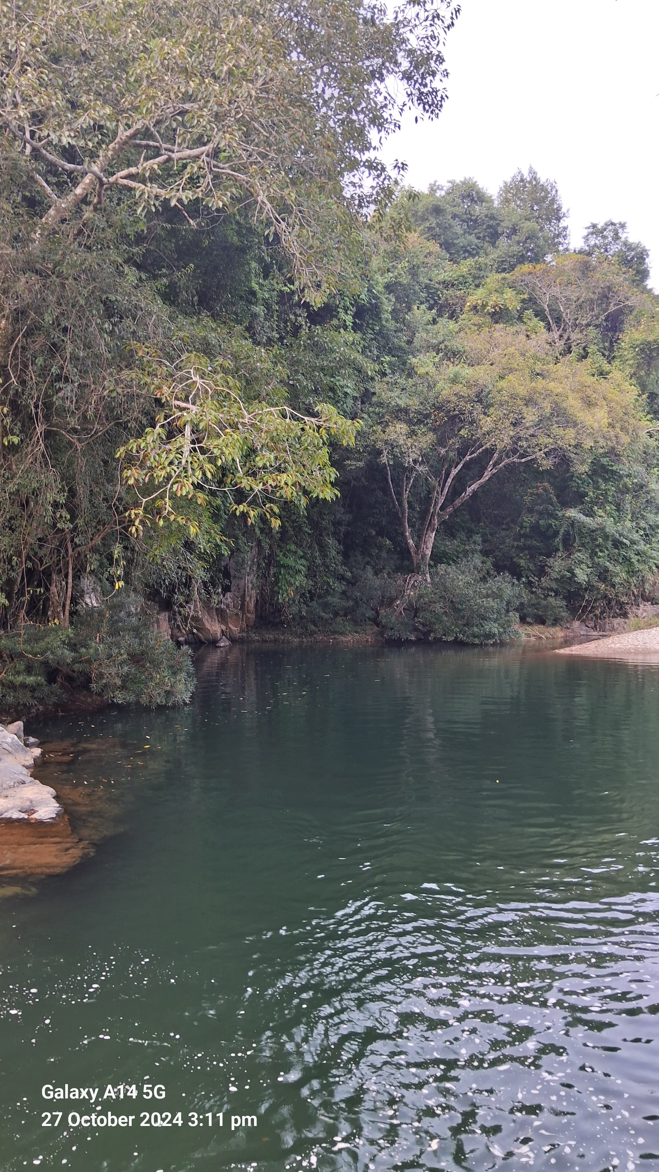 Nokrek National Park